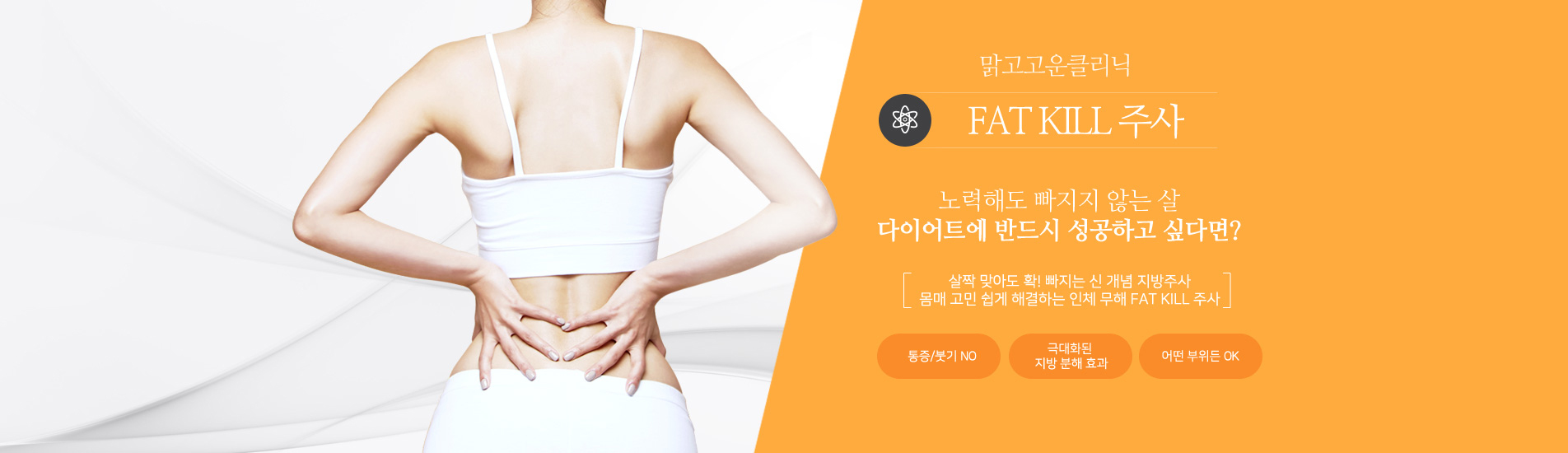 팻킬주사